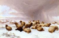 Thomas Sidney Cooper - Sheep In Winter